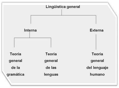 Nociones Linguisticas - Aprendiendo Ingles