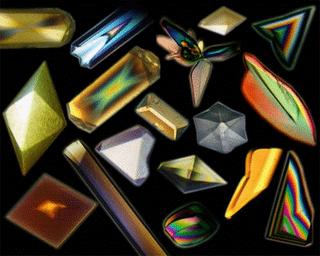 ¿Podemos encontrar Diseño Inteligente en estructuras natu... ¿Podemos encontrar Diseño Inteligente en estructuras natu...