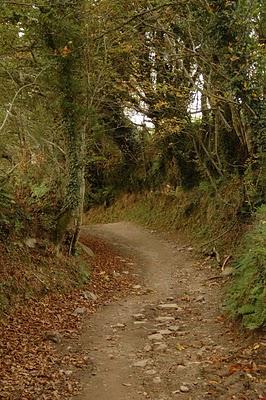 Tramo Alto do poio - Triacastela Tramo Alto do poio - Triacastela