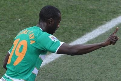 SUDÁFRICA 2010: PARA DORMIR A UN ELEFANTE SUDÁFRICA 2010: PARA DORMIR A UN ELEFANTE