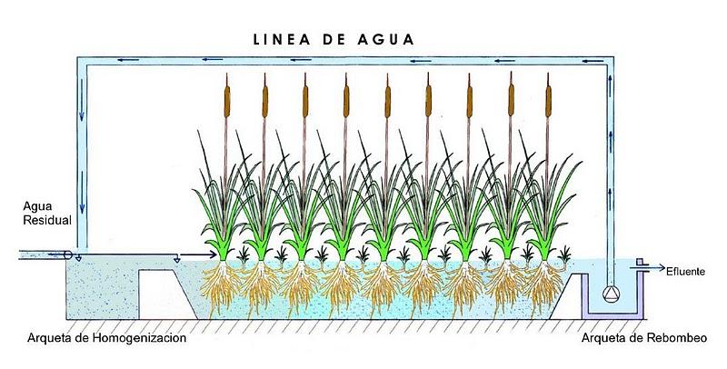 Fitodepuradoras. Sistemas constructivos.