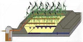 Fitodepuradoras. Sistemas constructivos.