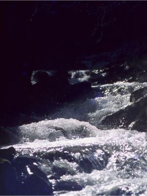 Síndrome de antaño Síndrome de antaño