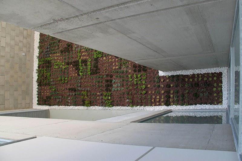 Cubiertas vegetales en Benisaudet. Urbanarbolismo. Cubiertas vegetales en Benisaudet. Urbanarbolismo.