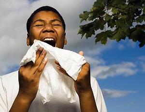 ¿El exceso de higiene favorece las alergias? ¿El exceso de higiene favorece las alergias?