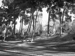 El Parque Grande de Zaragoza (I)