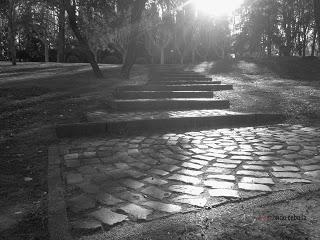 Escalinatas, junto a la Avenida de Los Plátanos