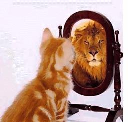 Tu Reflejo Tu Reflejo