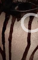 Keep calm and... Carrie on Keep calm and... Carrie on