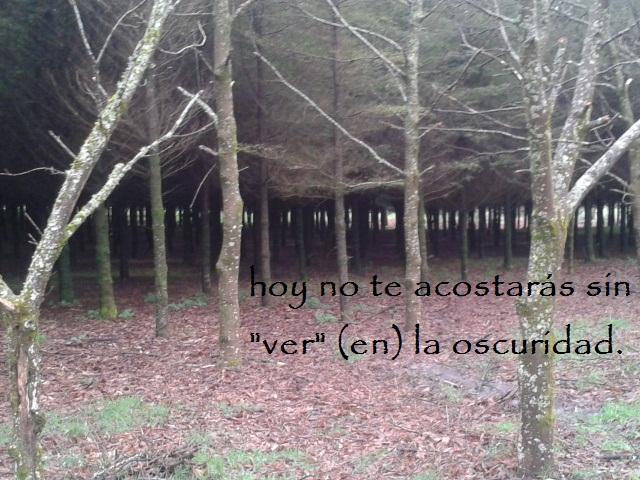FLEX 2: Ver (en) la oscuridad. FLEX 2: Ver (en) la oscuridad.