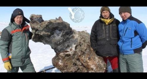 DESCUBREN PARTE DE UN MAMUT PERFECTAMENTE CONSERVADO DESCUBREN PARTE DE UN MAMUT PERFECTAMENTE CONSERVADO