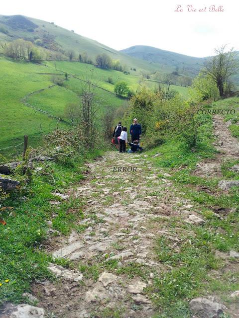 PICO PORCABEZAS PICO PORCABEZAS