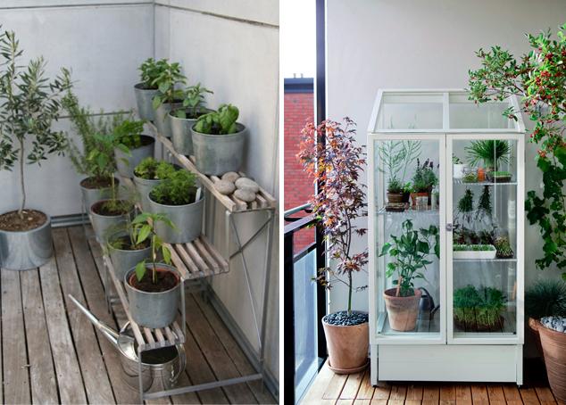 vitrina con plantas Prepara tu terraza para el verano