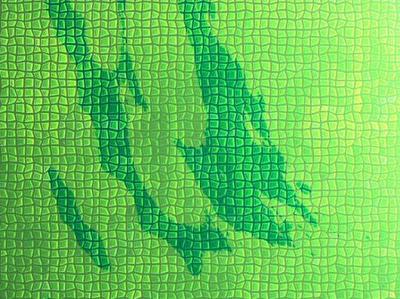 El Auge de los Biocombustibles El Auge de los Biocombustibles