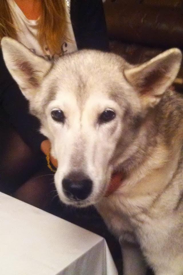 TRIBUTE TO KIARA TRIBUTE TO KIARA