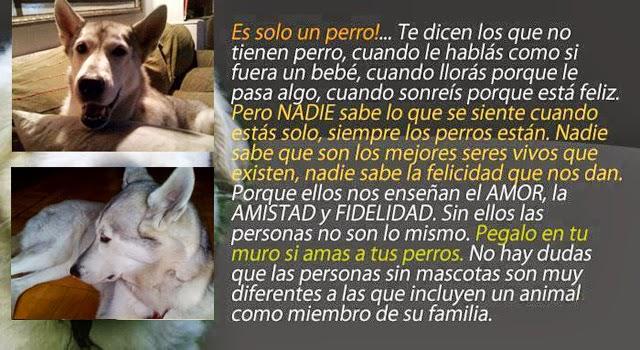 TRIBUTE TO KIARA TRIBUTE TO KIARA