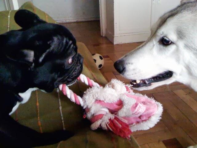 TRIBUTE TO KIARA TRIBUTE TO KIARA