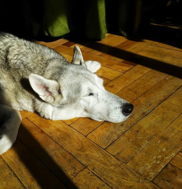 TRIBUTE TO KIARA TRIBUTE TO KIARA