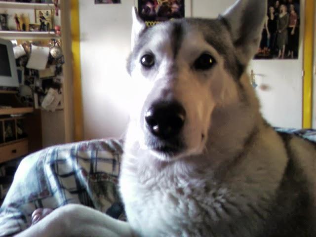 TRIBUTE TO KIARA TRIBUTE TO KIARA