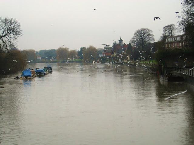 Londres secreto: Caminando con el Támesis en Twickenham Londres secreto: Caminando con el Támesis en Twickenham