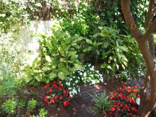 Ladrones en Los Padrones(Cuentos de mi Madre) - María Gabriela León Ladrones en Los Padrones(Cuentos de mi Madre) - María Gabriela León