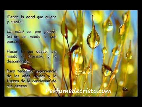 APRENDIZAJE… 946608_223677644423480_703547914_n