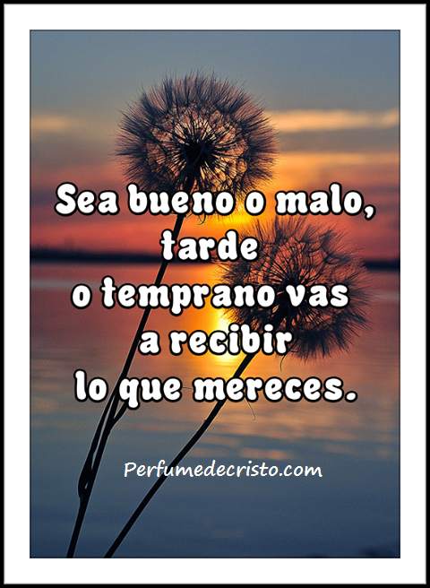 APRENDIZAJE… 575584_520852014616735_464819924_n