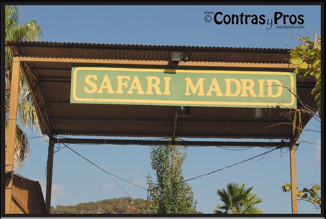 Safari de Madrid