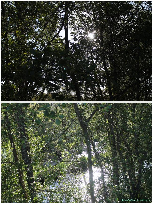 Mint + pink Mint + pink