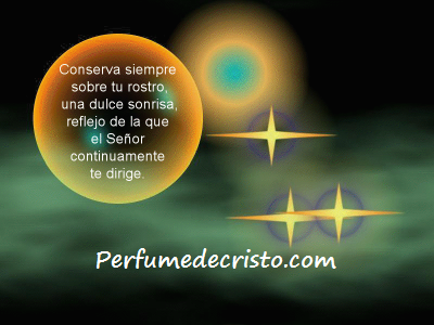 CARA A CARA… gview11