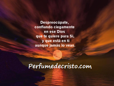 CARA A CARA… gview7