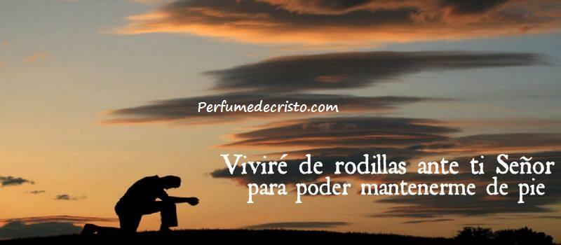 ELEVACIÓN 484519_173404632819471_1713519492_n