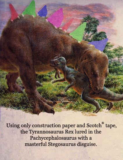 The Tyrannosaurus Rex Lured In The Pachycephalosaurus