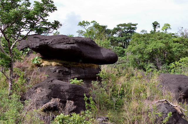 Parque Nacional Chapada dos Veadeiros Hominia blog naturaleza chapada dos veadeiros parque nacional brasil cerrado goias