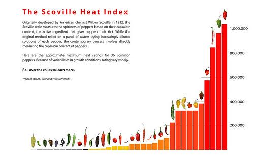 Sobre el sabor picante y la capsaicina Scoville Heat Index (Flash graphic)