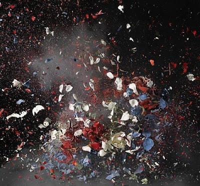 Ori Gersht y la belleza de la violencia