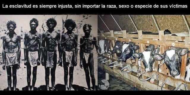 Reformar la esclavitud no es ningún progreso moral Reformar la esclavitud no es ningún progreso moral