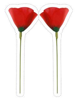 Proyecto solidario: Flower Wave. Amapolas para un mundo más bello Proyecto solidario: Flower Wave. Amapolas para un mundo más bello