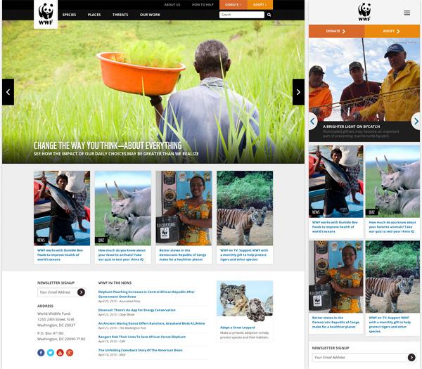 Dos captura de pantalla de la web WWF, en dos tamaños: móvil y pantalla de ordenador. Cada captura presenta una distribución de elementos diferente.