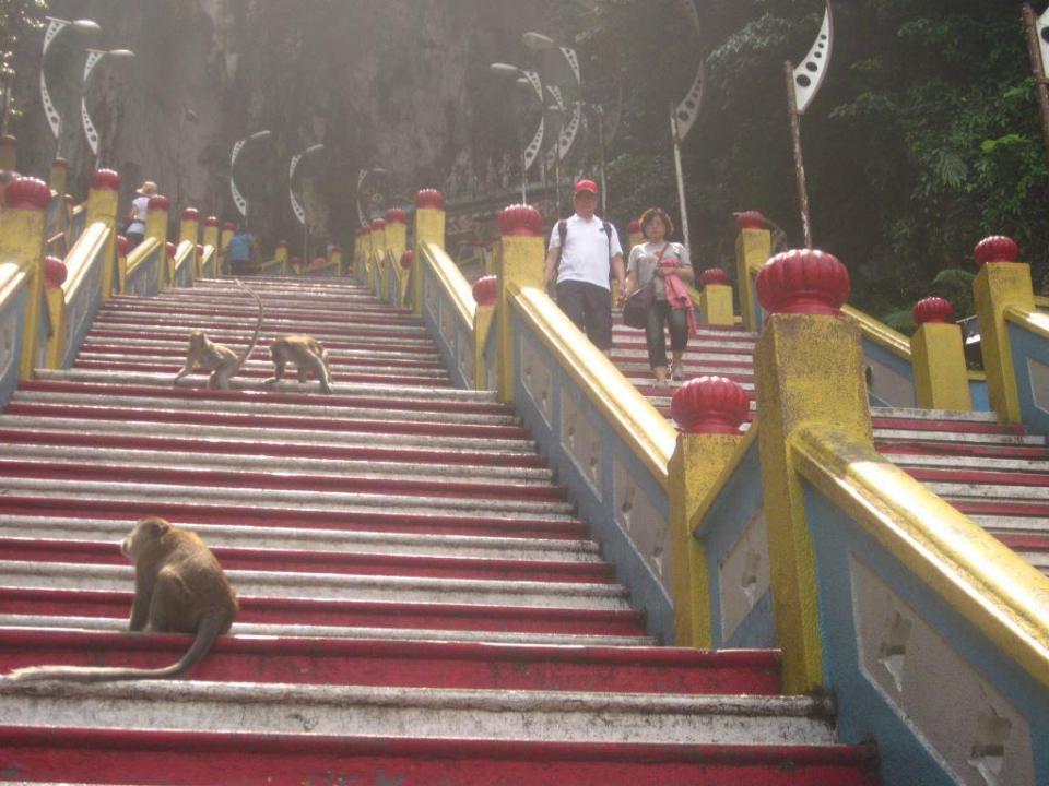 la cueva hindu personals Babaji proclamó que había venido a reformar la mentalidad misma del hombre expresando en una cueva que ha sido durante millares de años dades personals. la cueva hindu personals Babaji proclamó que había venido a reformar la mentalidad misma del hombre expresando en una cueva que ha sido durante millares de años dades personals.