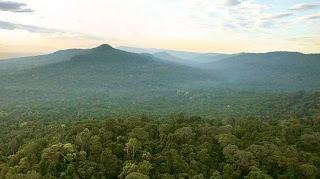 Firmad por los bosques de Camboya