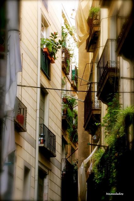 Miércoles de sensaciones Miércoles de sensaciones