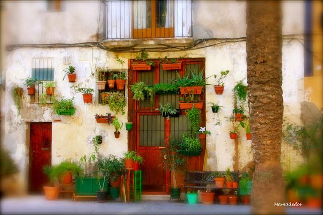 Miércoles de sensaciones Miércoles de sensaciones