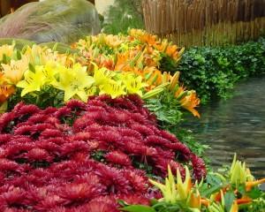 Riego con manguera Sistemas de riego