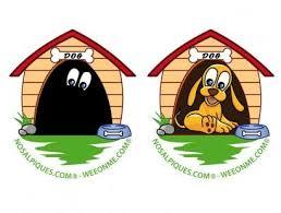 NOSALPIQUES.COM NOSALPIQUES.COM