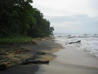Puerto Viejo (Costa Rica) - Esa imagen en madera Puerto Viejo (Costa Rica) - Esa imagen en madera