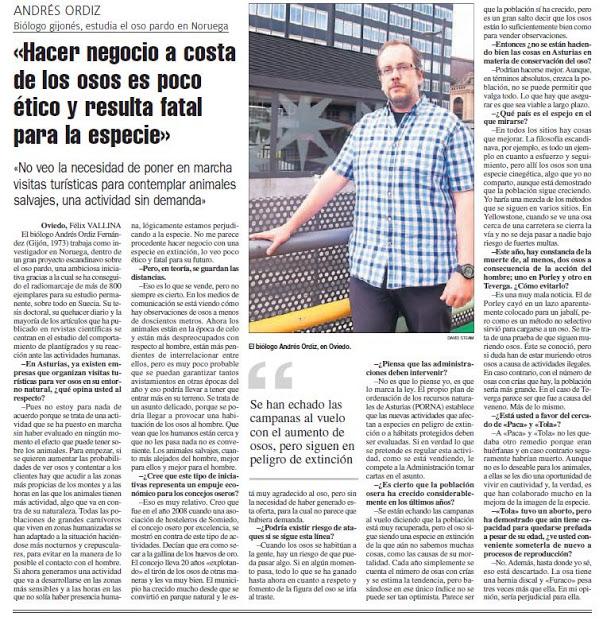 Más sobre Osos y turismo Más sobre Osos y turismo
