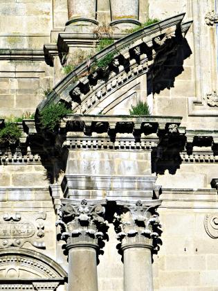 La vegetación recupera implacablemente su espacio sobre la piedra La vegetación recupera implacablemente su espacio sobre la piedra
