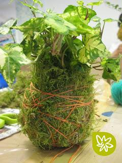 El arte de los jardines kokedama El arte de los jardines kokedama