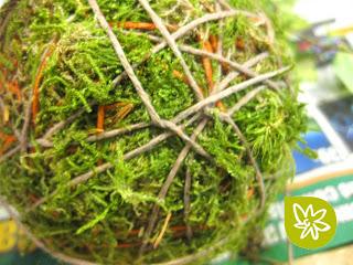 El arte de los jardines kokedama El arte de los jardines kokedama